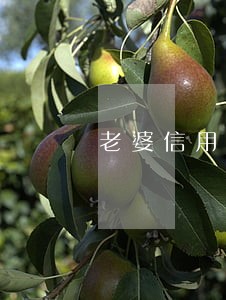 老婆信用卡逾期 车贷不通过 老婆信用卡逾期 车贷不通过